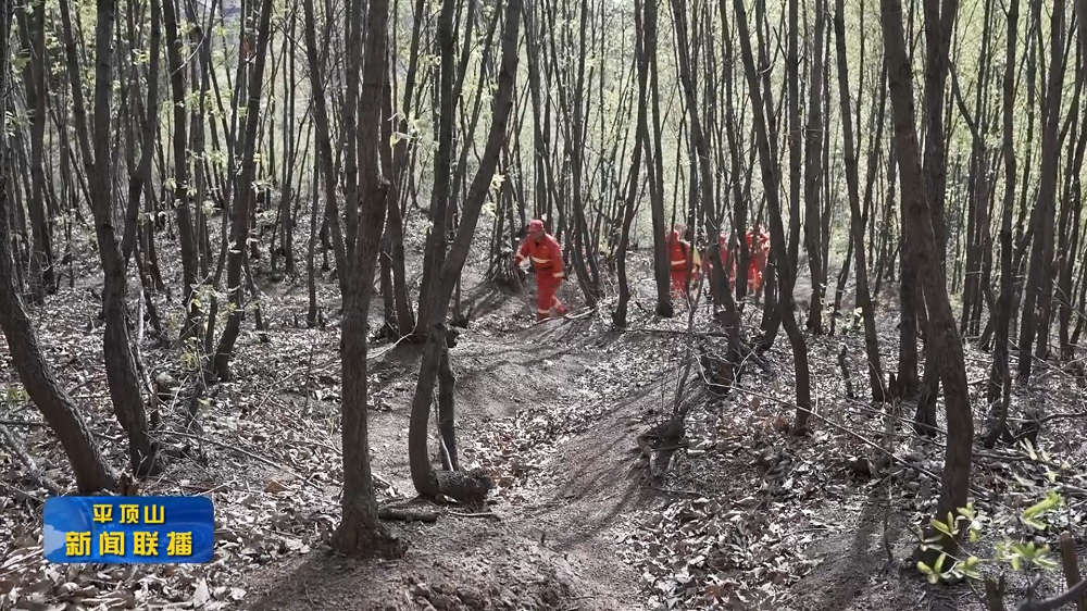 圖片2.png 圖片2.png