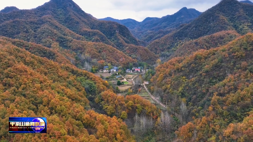 多彩1.png 多彩1.png