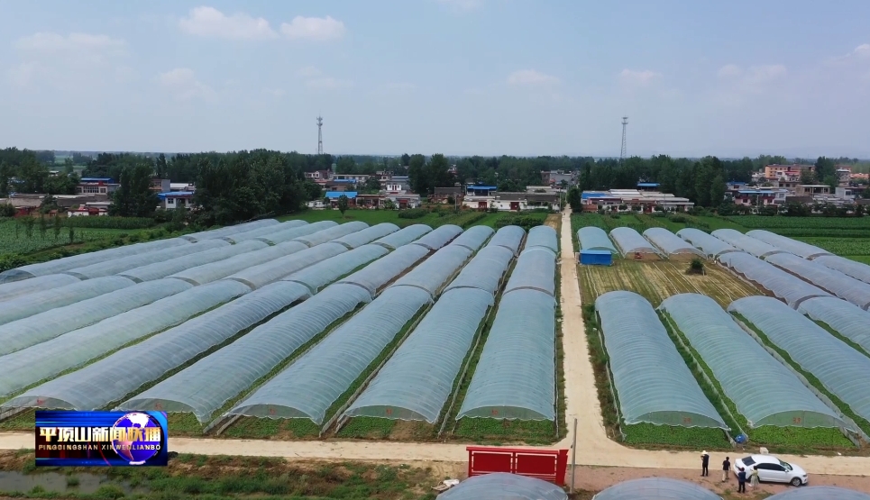 農(nóng)業(yè)農(nóng)村1.png 農(nóng)業(yè)農(nóng)村1.png